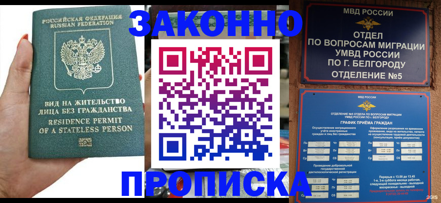 прописка для кредита в Фролово